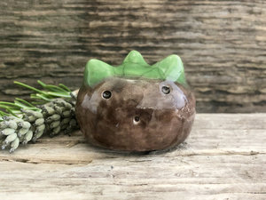 A round, chestnut-shaped raku scuplture glazed in warm brown with a bit of green for the chestnut spikes on the top of its head. (They're not sharp at all!). It has a cute, open, friendly face.
