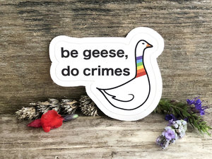 be geese, do crimes sticker | recycled paper, plastic free, rainbow goose