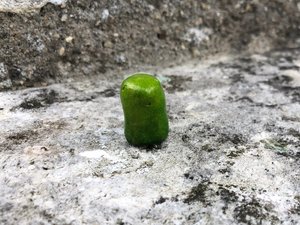 Kodama kami forest and tree happy nature spirit | miniature Buddhist, Shinto, Shamanic pocket art | natural argile clay