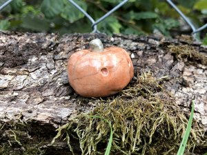 Pumpkin kami nature table raku statue for Halloween, Samhain | jack o'lantern decoration, pagan altar, Waldorf, Shinto shrine, fall, autumn