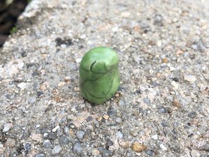 Tiny kodama forest tree spirit kami statue | Shinto Buddhist shamanism pagan raku sculpture | rewilding, protection, joy, peace