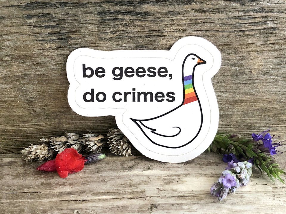 be geese, do crimes sticker | recycled paper, plastic free, rainbow goose